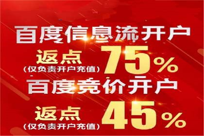 百度竞价广告的关键词选择与出价策略案例